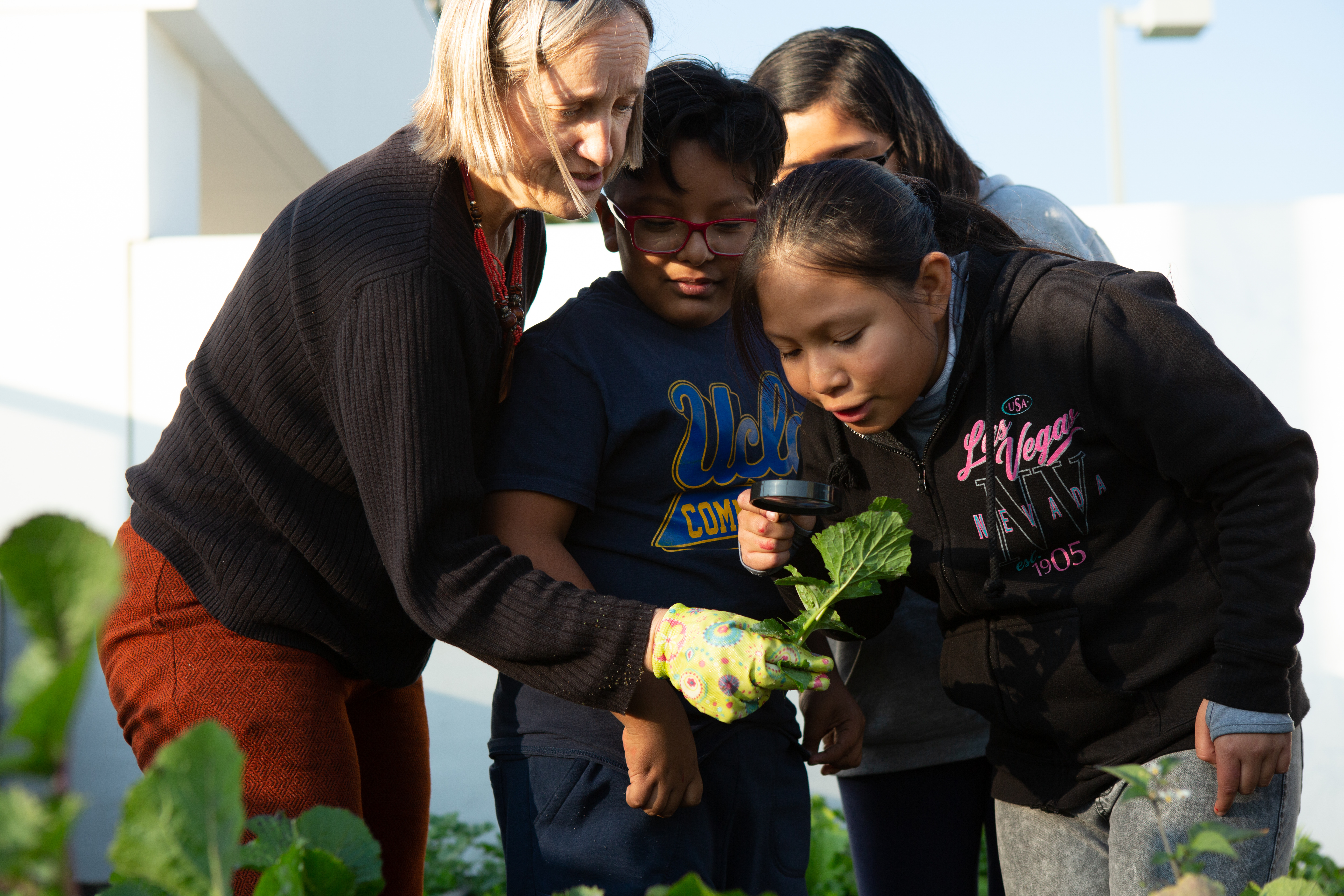 Building Successful Community Schools: Resources and Lesson Plans
